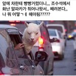 [추반] <b>엽떡</b> 시킬건데 추반 좀