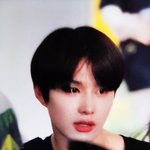 김정우강쥐를 지켜주세요