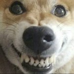 얘 어느 그룹이냐 ㅈㄴ 내<b>스탈</b>