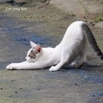 <b>비긴</b>어게인 재밌나요?