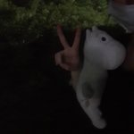 인형 들고다니면 떡<b>관</b><b>종</b> 같음?