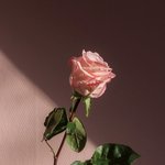 [드루와] 돈많이버는 유투버는