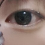 [드루와] <b>무쌍</b> 눈평좀