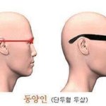 [모두드루와] 아이돌로 알아보는 얼굴형