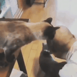 [NCT] 나 <b>낮잠</b> 잘건데