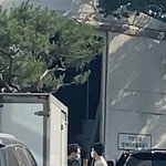 [EXO] 와 세후니도 <b>잉가</b>