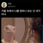 [TXT모아] 툽탐/<b>거울속</b>에서 나를 멍하니 보는건 내가 아냐