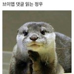 브이앱 댓글 읽는 <b>정우</b>.jyp