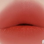 이런 립 뭐가 있을까 ㅠㅠㅠ