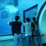 [EXO] 엑소 막내<b>라인</b>ㅋㅋㅋㅋㅋㅋㅋㅋㅋ