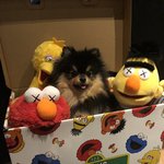 [드루와] 나 구본진 <b>사진첩</b>은 다 삭제했는데
