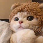 <b>아</b> 갑자기 개빡쳤던거 생각<b>나</b>네