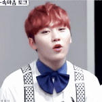 [세븐틴] 체리뿌 돌아오나요!?