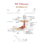 [방탄소년단] 밑에 따라하지 말라는 글보니까 흑조챌린지 생각남