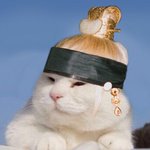 [방탄소년단] 안자는 <b>이</b>삐들