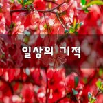 [좋은생각] 일상의 기적~