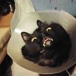 이거 좀 <b>당장</b> 풀어줘라!
