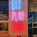 [강아지] 우리애기 또 다른 견생샷 봐주세용