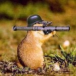 [19] 나 남자인데 민효린 닮았음;;