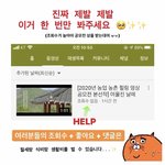 [이것좀봐줘] 대구 대학생들의 영상 공모전을 응원해주세요..!!(조회수가...