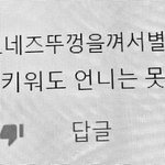 [댓글부탁해] 너네 승무원 글만쓰면 승무원욕하는사람아냐