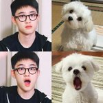 [EXO] 경수 심뽀너 ㅜㅜㅜㅜ