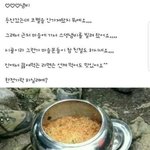 [드루와] 얘들아 트와이스 <b>정연</b> 개명한거 앎??