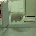 친구가 나 하시모토 <b>칸나</b> 눈 닮았대 ㅅㅂㅅㅂㅅㅂ