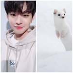 온앤오프 효진 <b>족제비</b> 닮았어