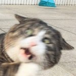 [댓글부탁해] 선배들 개띠거움 진짜;;;;;
