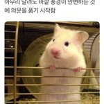 개급해 추반 함만 ㅠㅠㅠㅠㅠㅠㅠㅠㅠㅠ제발