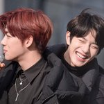 [골든차일드] 보미니 <b>애착</b> 형아