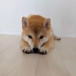 [19] 우리 엄마 20대 남자랑 바람 펴서 <b>난리남</b>