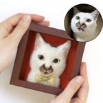 숨겨진 고양이의 <b>탄생</b>설