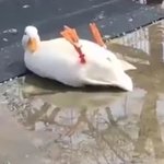 <b>난방</b> 입고온다는데 <b>난방</b>이뭐더라