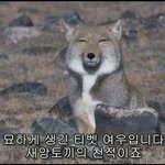 다른지역 아버지들은 <b>집안일</b> 해??