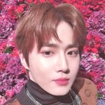 [19] 이런 <b>화장</b> 개이쁜데 어케함