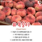 [댓글부탁해] 내 친구 <b>의존증</b>? 집착 개심해