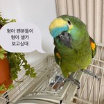 흑흑 범규보고싶다