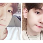[EXO] 백현 <b>톡선</b>에서 주움