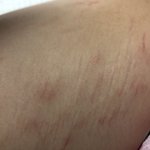 나보다 튼<b>살심</b>한사람 없지?