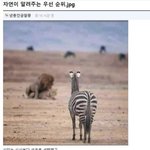 [19] 근데 <b>깡</b>에 꼬만춤 출<b>때</b>