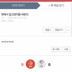새벽에 고양이들 싸움 소리 들렸는데 <b>울</b><b>집</b> 고양이였음