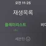 [세븐틴] ㅅㄷ) 서양수박 스밍