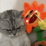 [<b>MBTI</b>] 이 짤 되게