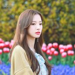 <b>입덕</b> 멤버인 여돌