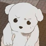 [ㅈㄱㄴ] 아니<b>잠깐</b>만 이거