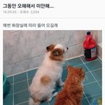 얘들아 너네 <b>배꼽</b>말인데