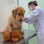 [댓글부탁해] 나 내일 시험인데 <b>비오</b>거든등든