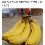<b>오레오</b> ㅈㄴ 먹고 싶어 얘들아 진ㅁ자 ㅠㅠㅠㅠㅠ